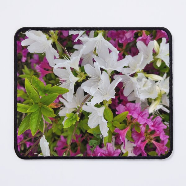 Item preview, Beautiful azaleas blooming flowers on the hillside of the Gwangju Yeongsan River,korea designed and sold by human8891.