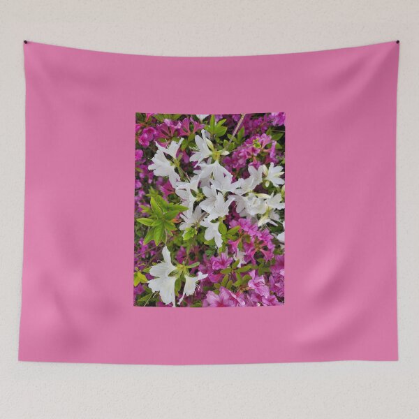 Item preview, Beautiful azaleas blooming flowers on the hillside of the Gwangju Yeongsan River,korea designed and sold by human8891.