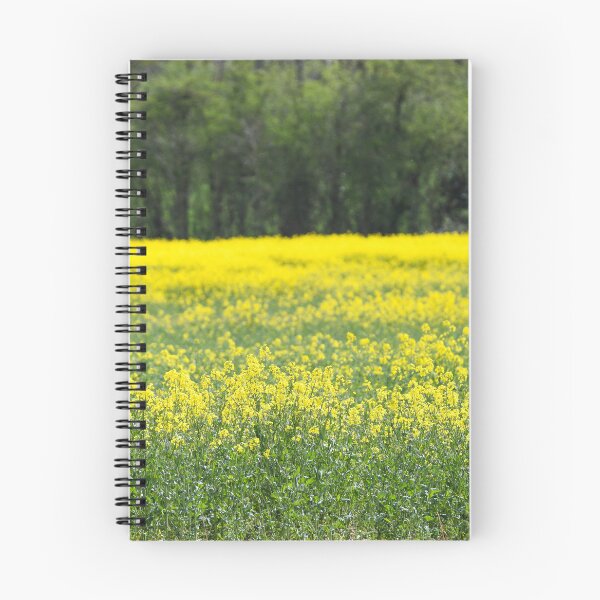 Item preview, canola field designed and sold by markspics.