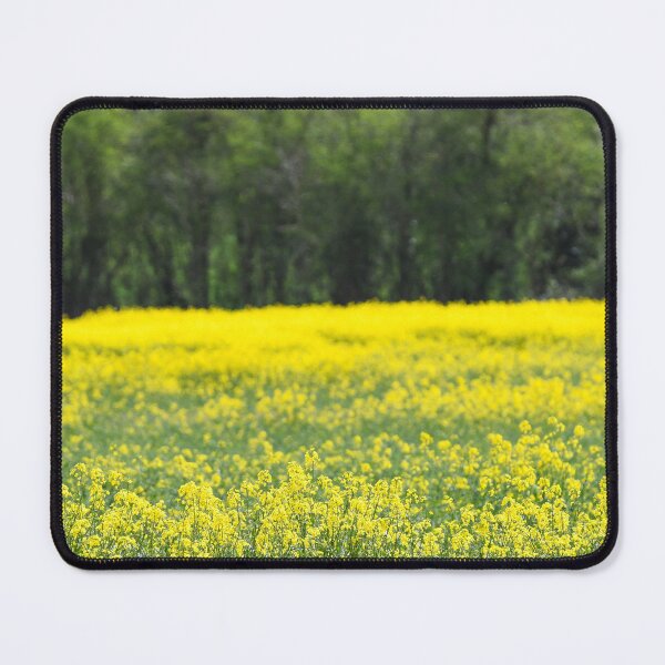Item preview, canola field designed and sold by markspics.