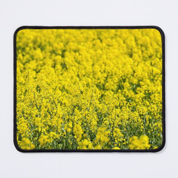 Item preview, canola field designed and sold by markspics.