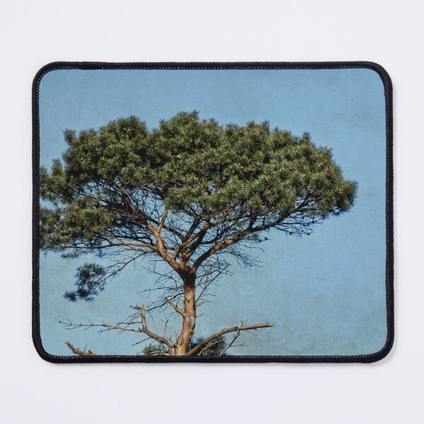 Item preview, Clarity designed and sold by Denise Abé.