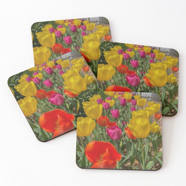 Item preview, Variety of Colored Tulips designed and sold by Craig Kauzmann.