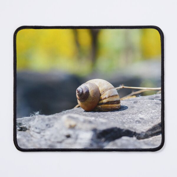 Item preview, A picture. Shells by the pond designed and sold by fangchensheng.