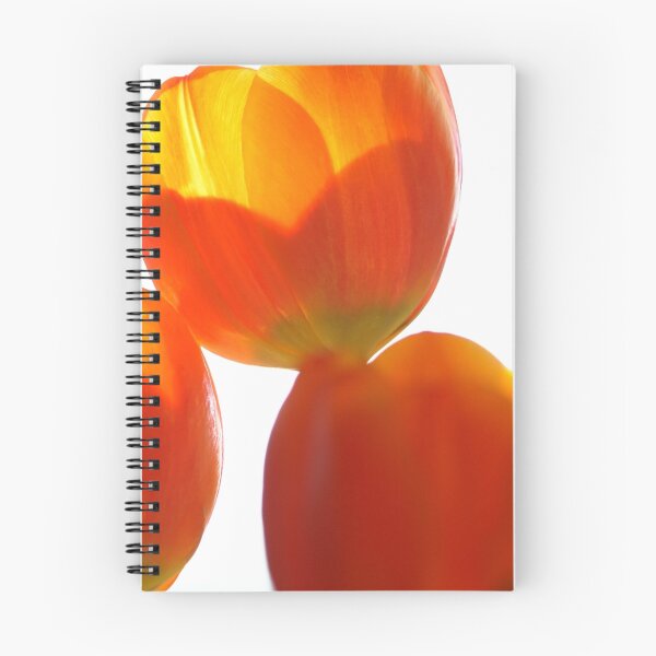 Item preview, Afternoon Tulips designed and sold by hermosaman.
