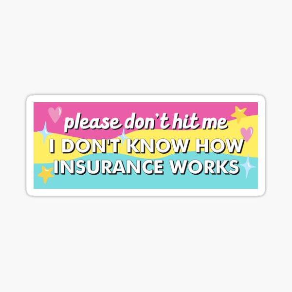 Pls Don't Hit Me Idk If I Paid My Car Insurance Funny Bumper Sticker