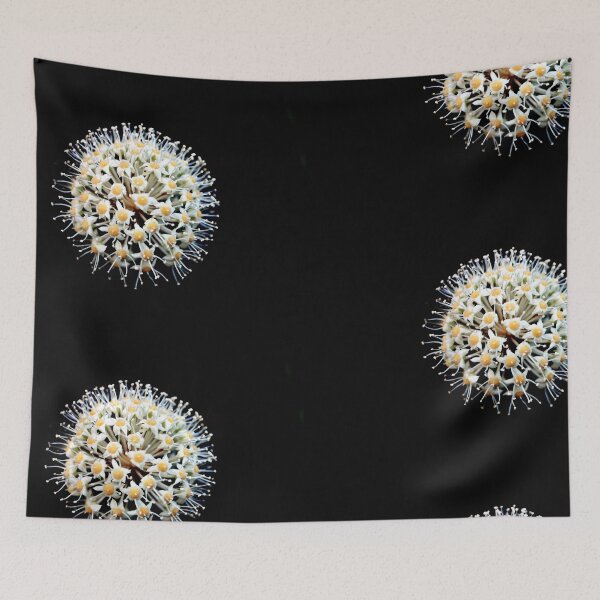 Item preview, White and yellow spiky flower designed and sold by kadmil.