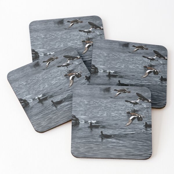 Item preview, Ducks in Flight designed and sold by achristyphoto.