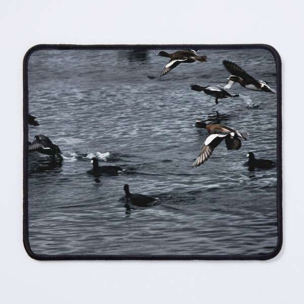 Item preview, Ducks in Flight designed and sold by achristyphoto.
