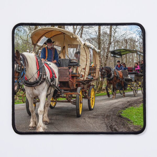 Item preview, Jaunting Cars, Killarney, Ireland designed and sold by StephenPower.