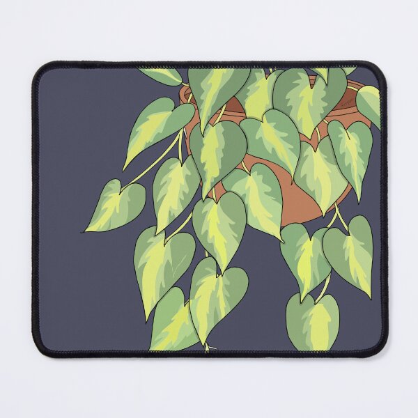Item preview, Philodendron Brasil designed and sold by TASORA.