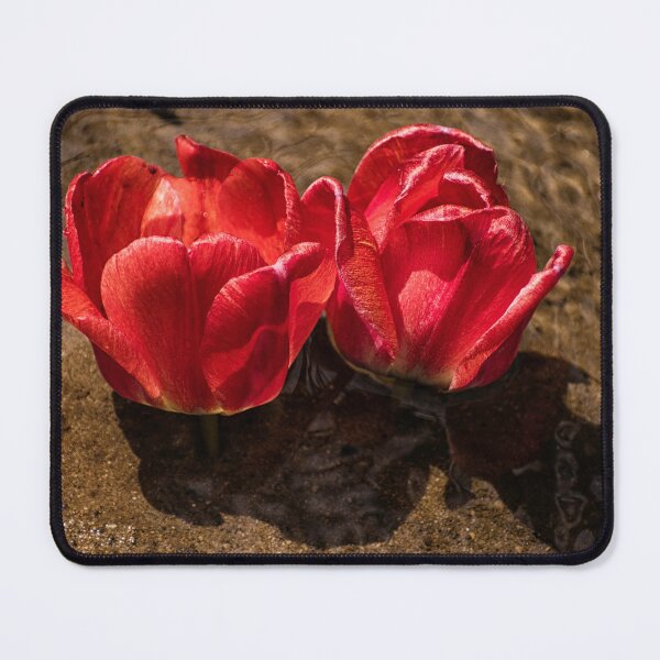 Item preview, Synchronized designed and sold by Jim Love.