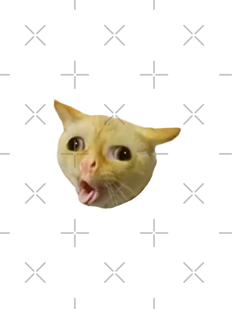  iPhone XS Max Cursed Cat Memes: Cursed Cat Angry As