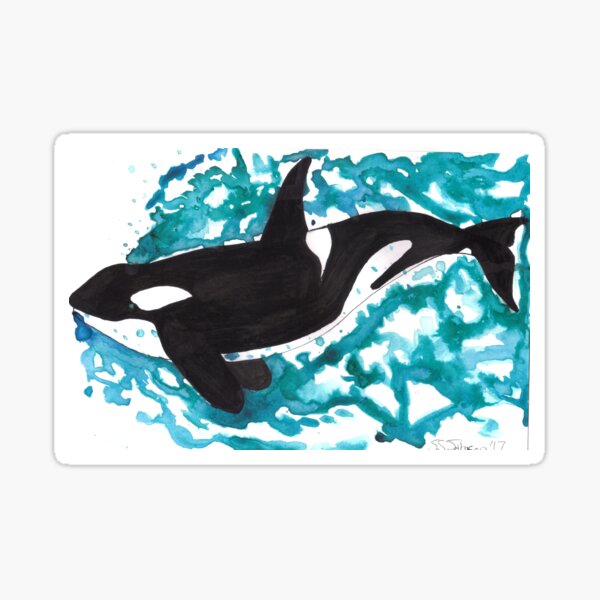Bubbles the Orca Sticker