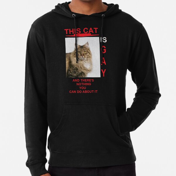 this cat is gay and there's nothing sweater