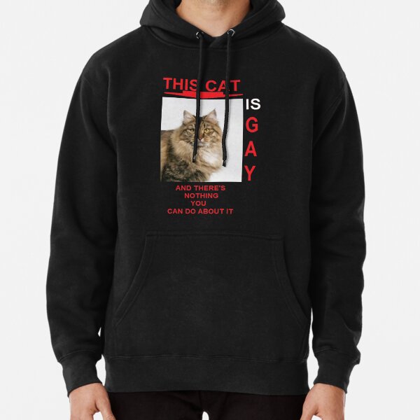 this cat is gay and there's nothing sweater