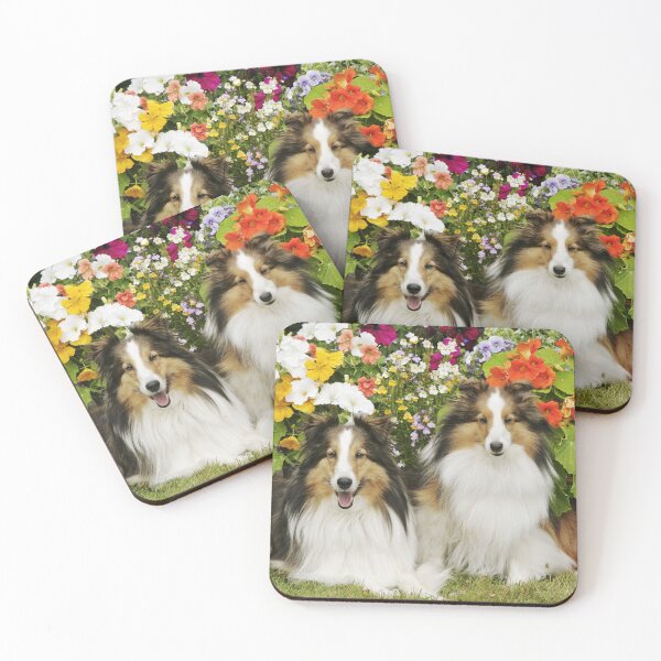 Item preview, Two Shetland Sheepdogs, together in a garden. designed and sold by ScienceSource.