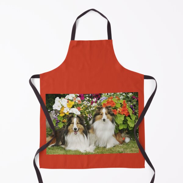 Item preview, Two Shetland Sheepdogs, together in a garden. designed and sold by ScienceSource.