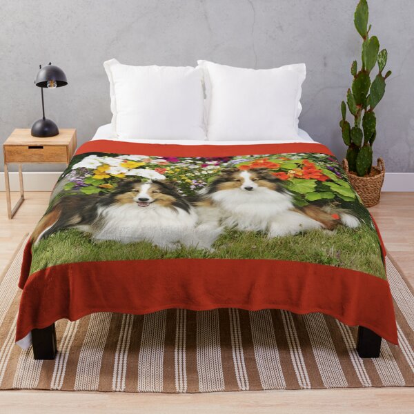 Item preview, Two Shetland Sheepdogs, together in a garden. designed and sold by ScienceSource.