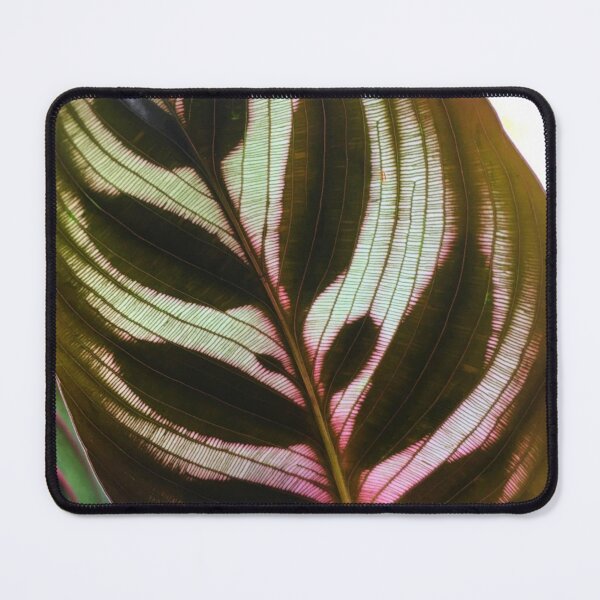 Item preview, Calathea Makoyana Peacock Plant Leaf Nature Photo Design designed and sold by TacoRose.