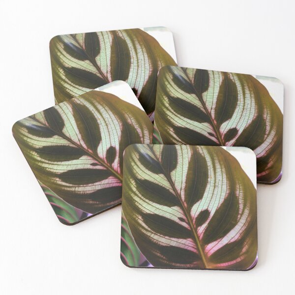 Item preview, Calathea Makoyana Peacock Plant Leaf Nature Photo Design designed and sold by TacoRose.