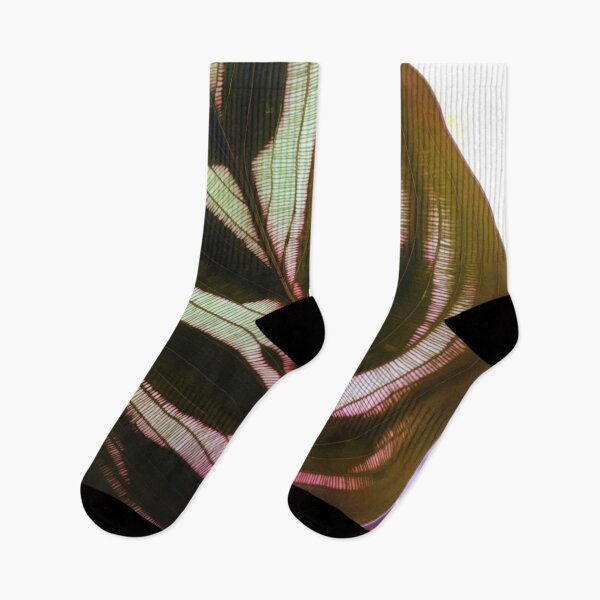 Item preview, Calathea Makoyana Peacock Plant Leaf Nature Photo Design designed and sold by TacoRose.