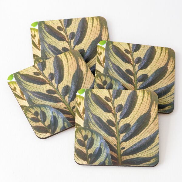 Item preview, Calathea Makoyana Peacock Plant Leaves Nature Photo Design designed and sold by TacoRose.