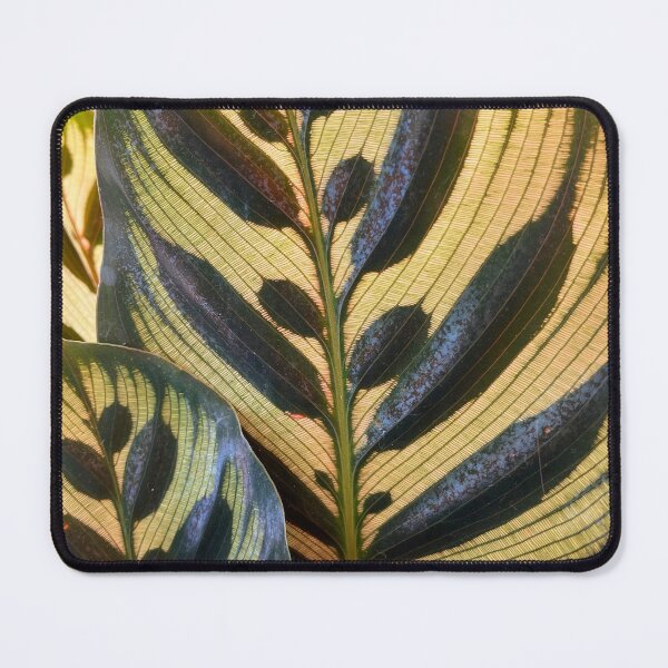 Item preview, Calathea Makoyana Peacock Plant Leaves Nature Photo Design designed and sold by TacoRose.