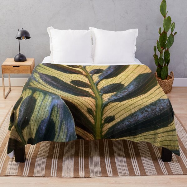 Item preview, Calathea Makoyana Peacock Plant Leaves Nature Photo Design designed and sold by TacoRose.