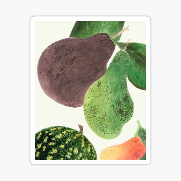 Fruit Medley Sticker