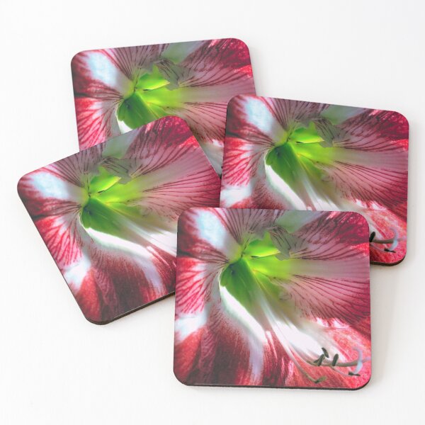 Item preview, Amaryllis Flower designed and sold by 9Amaryllis6.
