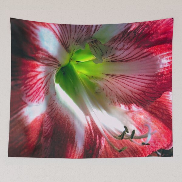 Item preview, Amaryllis Flower designed and sold by 9Amaryllis6.