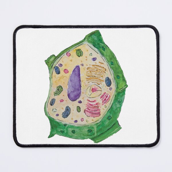 Item preview, plant cell (watercolour) designed and sold by carmwong.