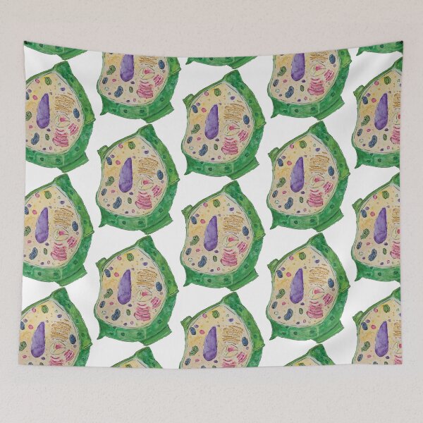 Item preview, plant cell (watercolour) designed and sold by carmwong.