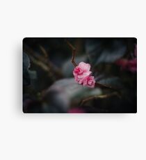 Precious Canvas Print