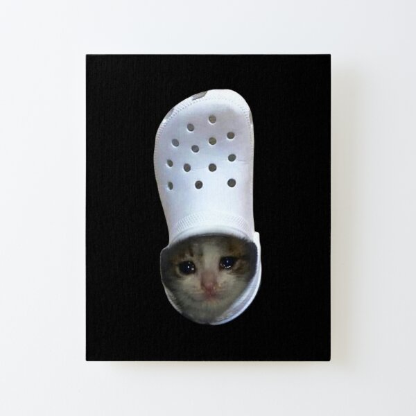 Beluga Cat Meme Face Smiling Canvas Print for Sale by fomodesigns