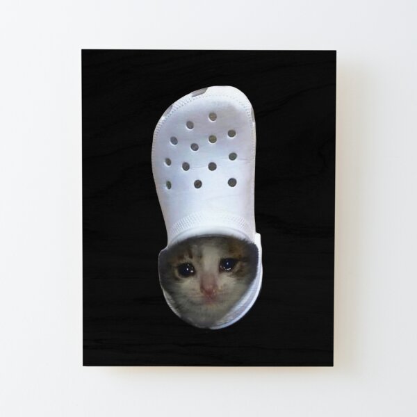 Smiling Beluga Cat Meme Face Photographic Print for Sale by