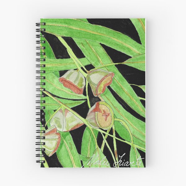 Item preview,  Illustration of Eucalyptus leaves and fruits in watercolor designed and sold by Malu-Iriarte.