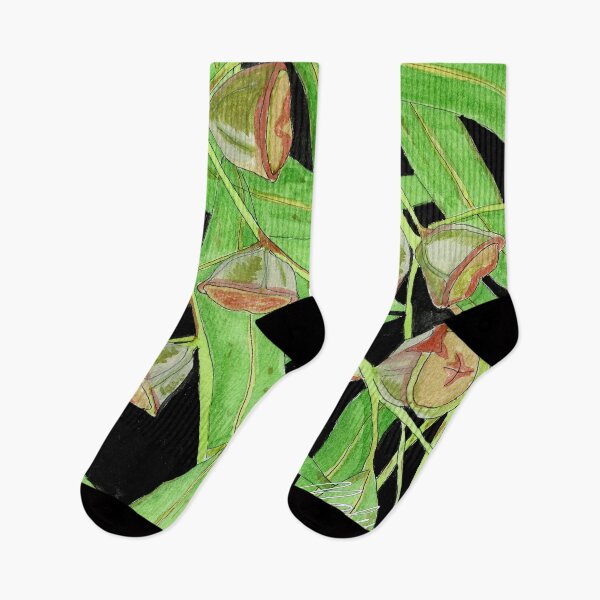 Item preview,  Illustration of Eucalyptus leaves and fruits in watercolor designed and sold by Malu-Iriarte.