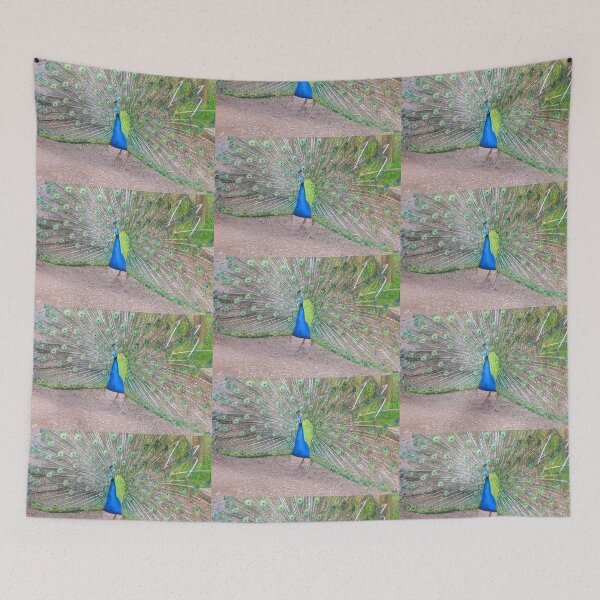 Item preview, Show off Male Peacock........Devon UK designed and sold by lynn carter.