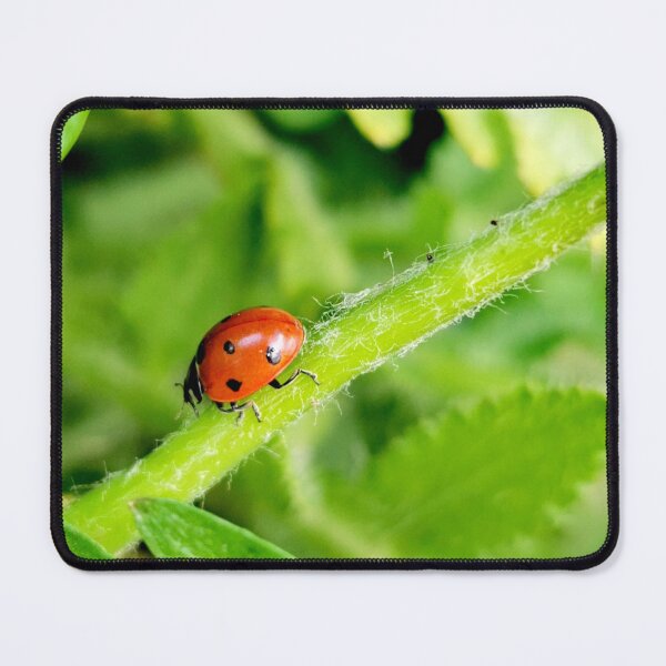 Item preview, Ladybird designed and sold by KaisPrints.