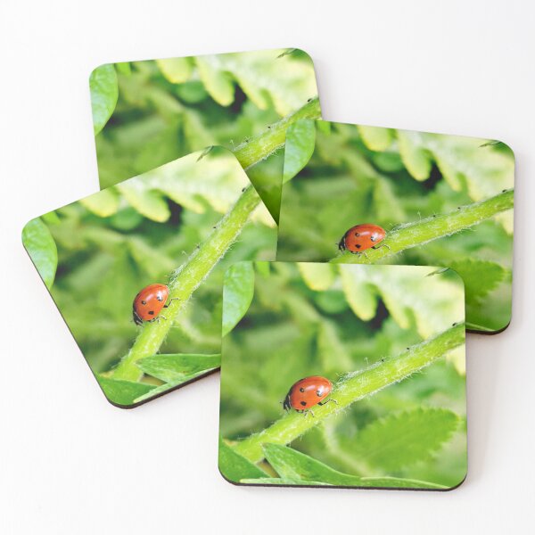 Item preview, Ladybird  designed and sold by KaisPrints.