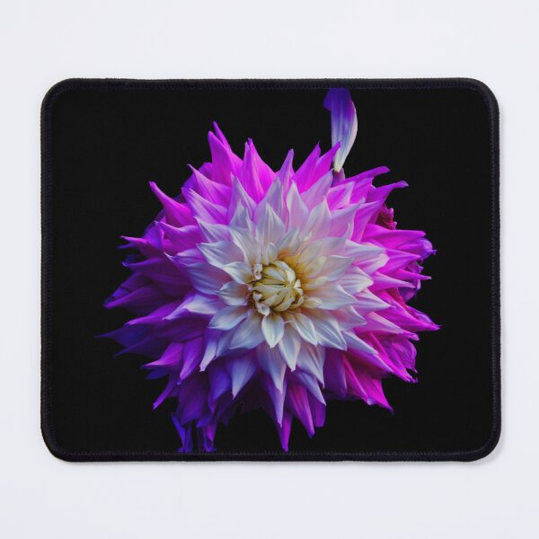 Item preview, Pink dahlia  designed and sold by kadmil.