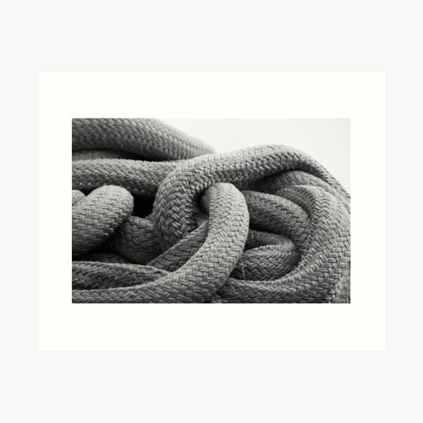 SHIBARI ROPES by Igor Muñoz (2021) : Photography Digital on Plexiglas -  balthasart