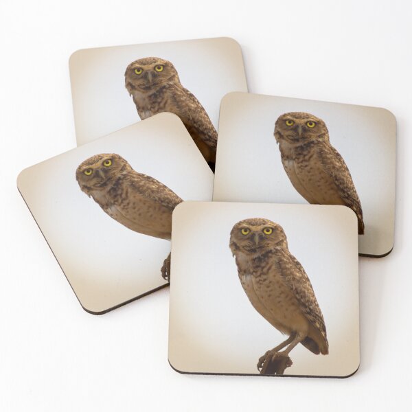 Item preview, the owl designed and sold by ricobarinas.
