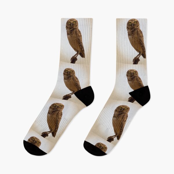 Item preview, the owl designed and sold by ricobarinas.