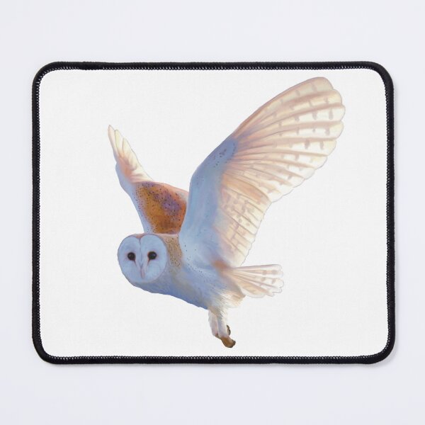 Item preview, Flying Barn Owl illustration. Beautiful Barn Owl realistically rendered. Bird art. designed and sold by PlumpPlumStudio.