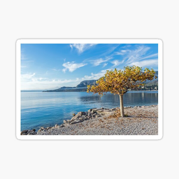 Lake Garda autumn tree Sticker