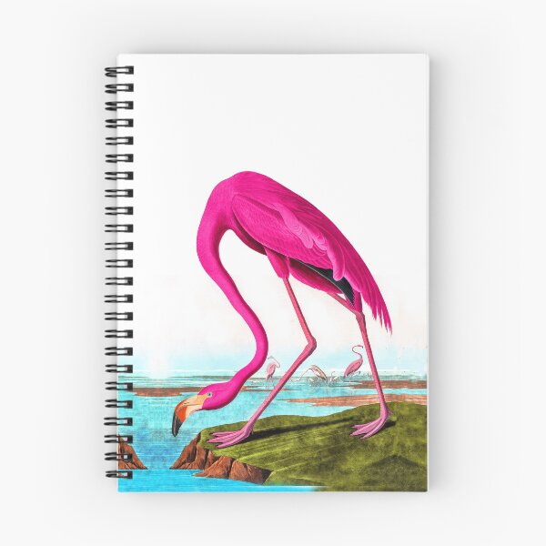 Item preview, American Flamingo | Pink Flamingo from Birds of America designed and sold by TeeARTHY.