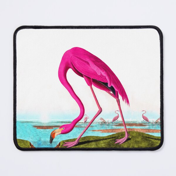 Item preview, American Flamingo | Pink Flamingo from Birds of America designed and sold by TeeARTHY.